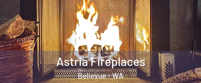  Astria Fireplaces Bellevue - WA
