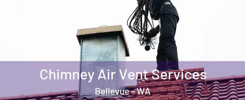  Chimney Air Vent Services Bellevue - WA