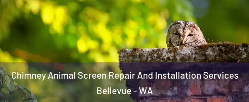  Chimney Animal Screen Repair And Installation Services Bellevue - WA