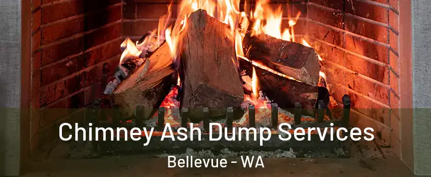  Chimney Ash Dump Services Bellevue - WA