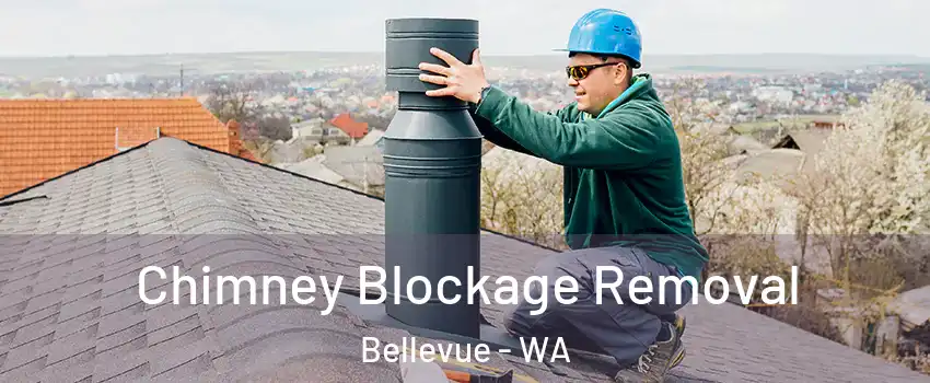 Chimney Blockage Removal Bellevue - WA