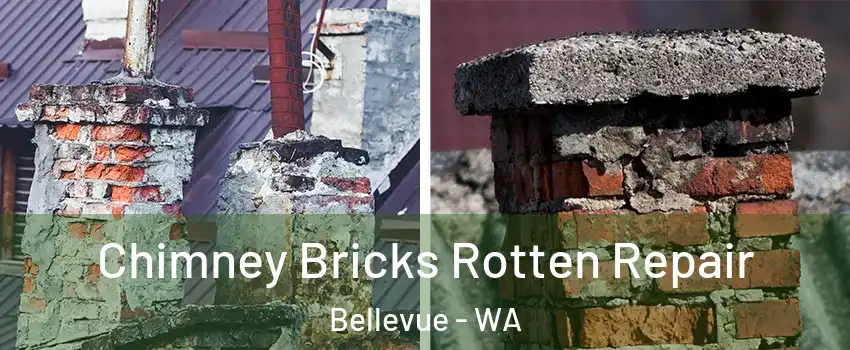  Chimney Bricks Rotten Repair Bellevue - WA