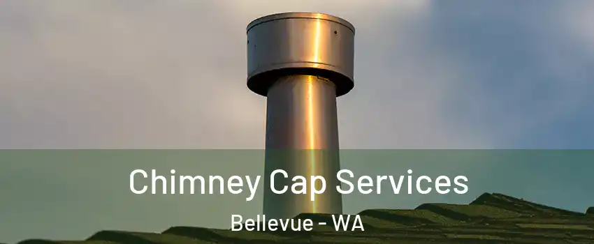  Chimney Cap Services Bellevue - WA