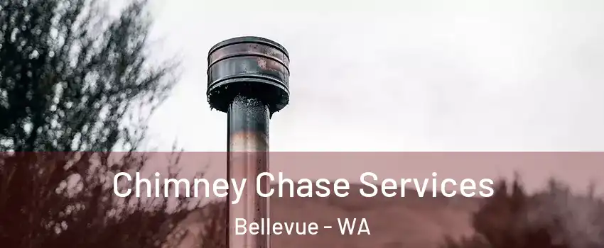  Chimney Chase Services Bellevue - WA