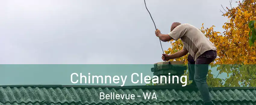  Chimney Cleaning Bellevue - WA