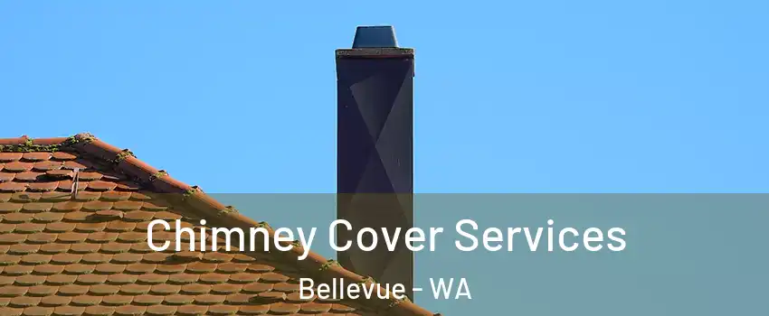  Chimney Cover Services Bellevue - WA