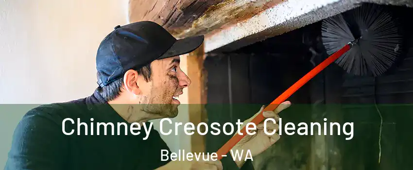  Chimney Creosote Cleaning Bellevue - WA