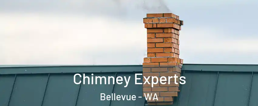 Chimney Experts Bellevue - WA