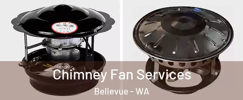  Chimney Fan Services Bellevue - WA