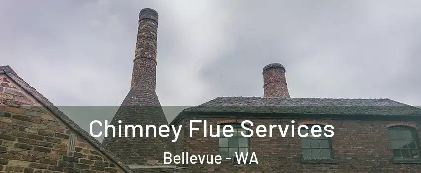  Chimney Flue Services Bellevue - WA