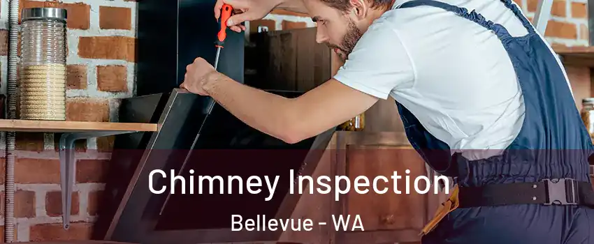  Chimney Inspection Bellevue - WA