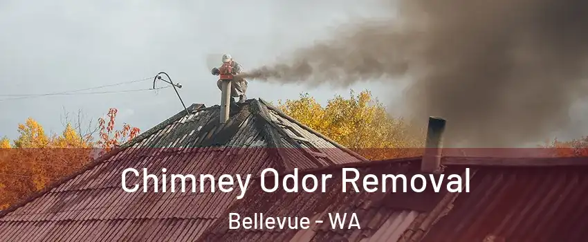  Chimney Odor Removal Bellevue - WA