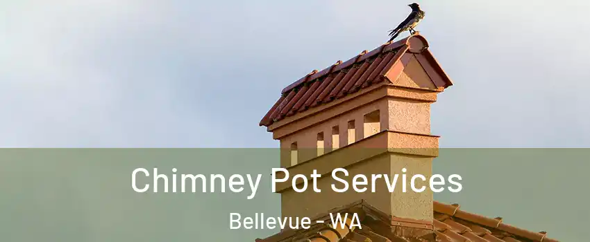  Chimney Pot Services Bellevue - WA