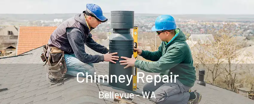  Chimney Repair Bellevue - WA