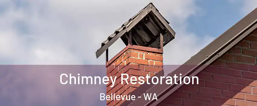  Chimney Restoration Bellevue - WA