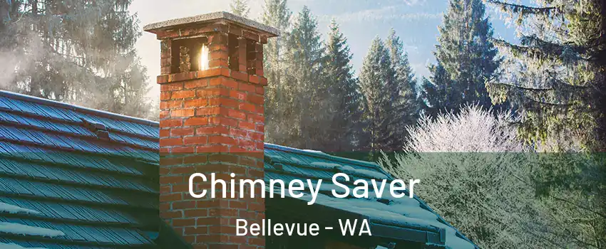  Chimney Saver Bellevue - WA