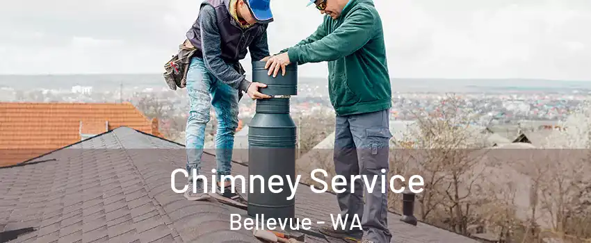  Chimney Service Bellevue - WA