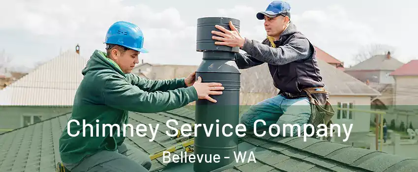  Chimney Service Company Bellevue - WA