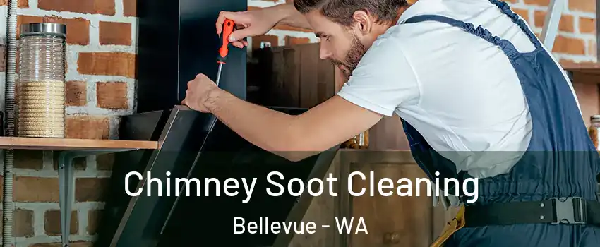  Chimney Soot Cleaning Bellevue - WA