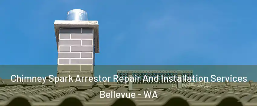  Chimney Spark Arrestor Repair And Installation Services Bellevue - WA