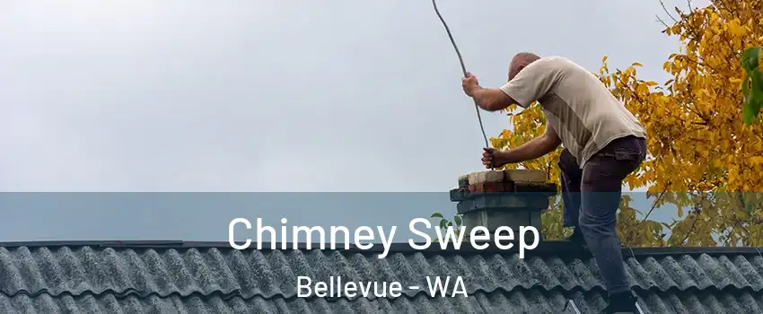 Chimney Sweep Bellevue - WA