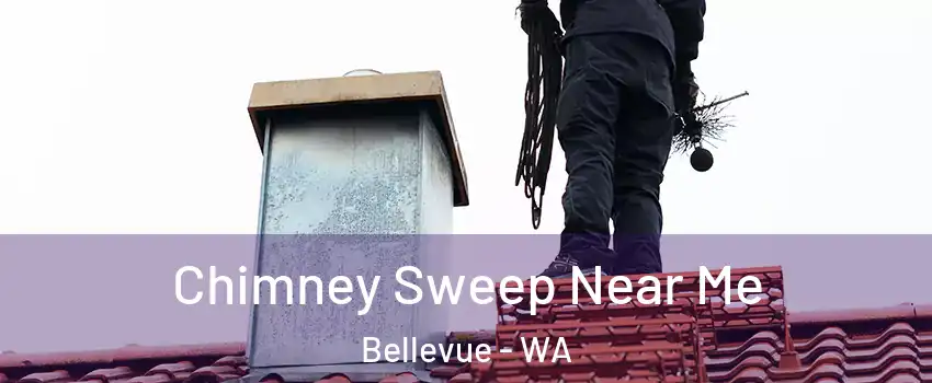  Chimney Sweep Near Me Bellevue - WA