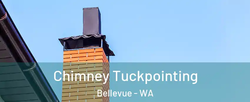  Chimney Tuckpointing Bellevue - WA