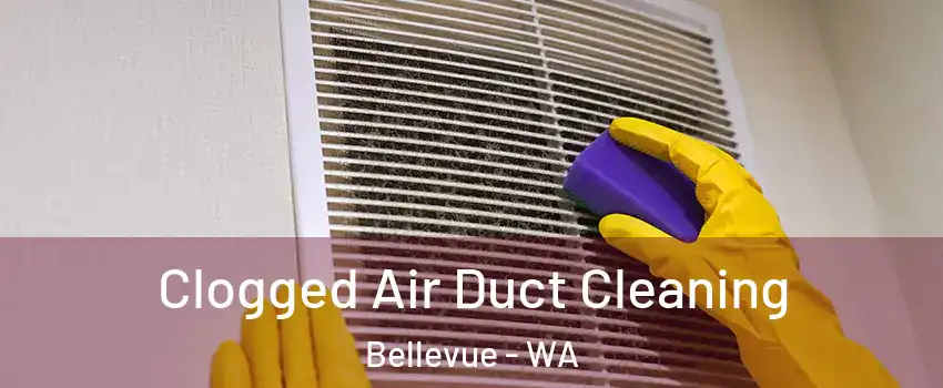  Clogged Air Duct Cleaning Bellevue - WA