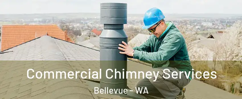  Commercial Chimney Services Bellevue - WA