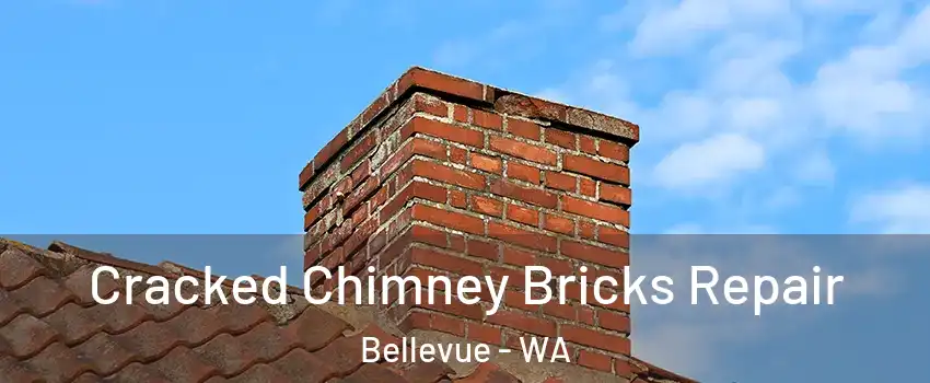  Cracked Chimney Bricks Repair Bellevue - WA