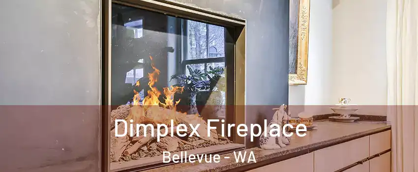  Dimplex Fireplace Bellevue - WA