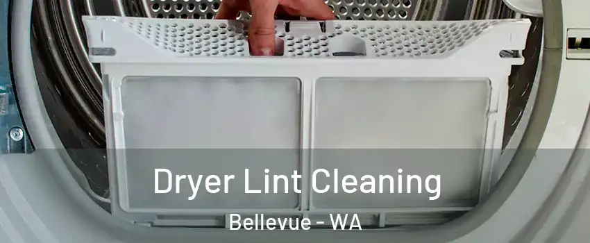  Dryer Lint Cleaning Bellevue - WA