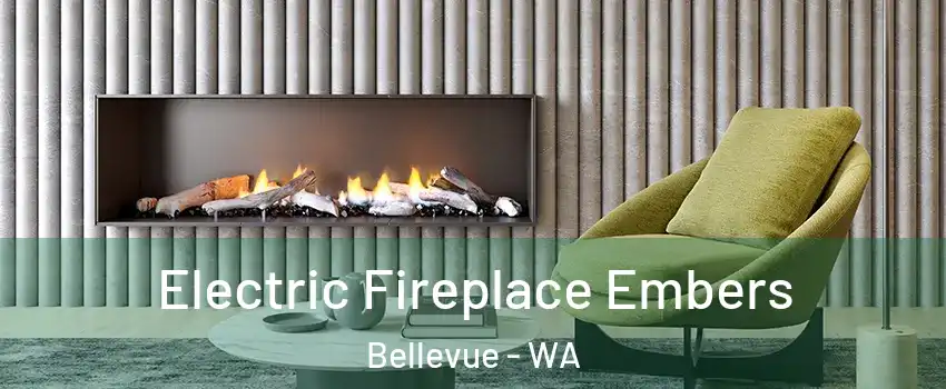  Electric Fireplace Embers Bellevue - WA