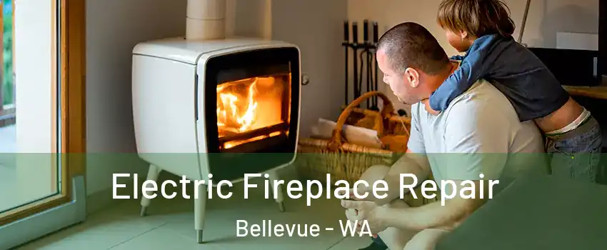  Electric Fireplace Repair Bellevue - WA