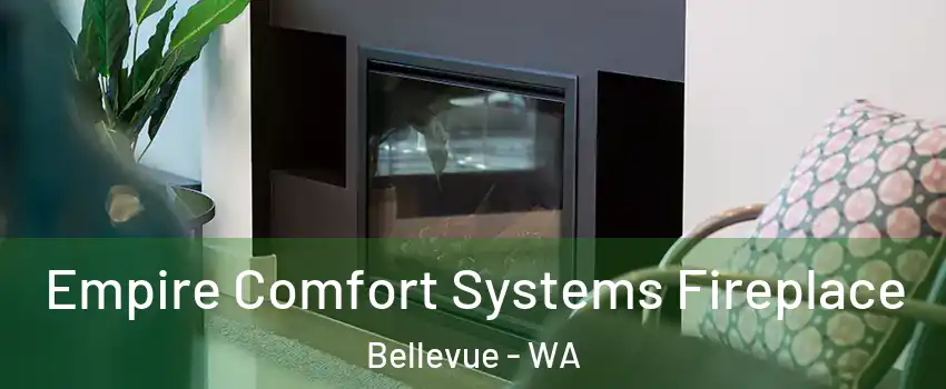  Empire Comfort Systems Fireplace Bellevue - WA