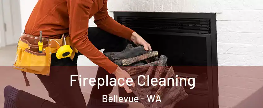  Fireplace Cleaning Bellevue - WA