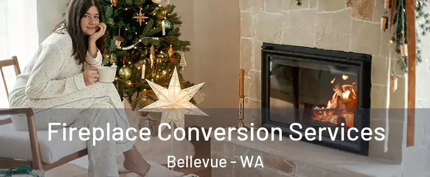  Fireplace Conversion Services Bellevue - WA