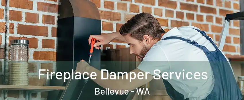  Fireplace Damper Services Bellevue - WA