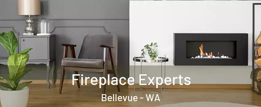  Fireplace Experts Bellevue - WA