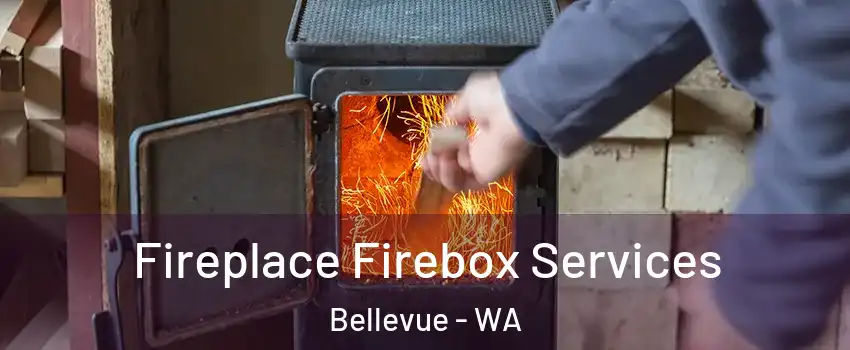  Fireplace Firebox Services Bellevue - WA