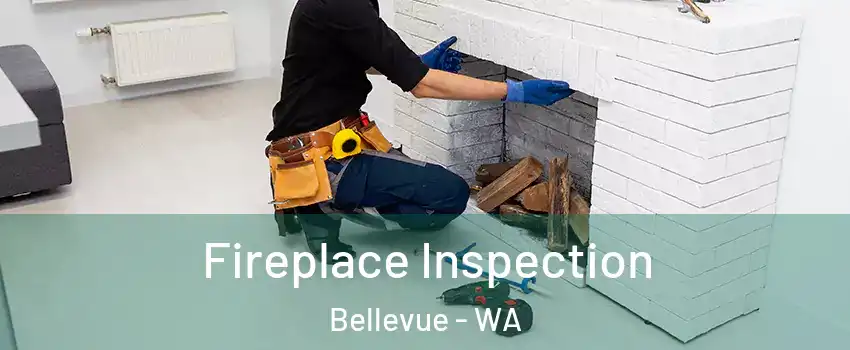  Fireplace Inspection Bellevue - WA