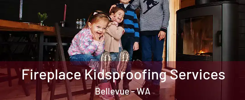  Fireplace Kidsproofing Services Bellevue - WA