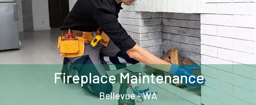  Fireplace Maintenance Bellevue - WA