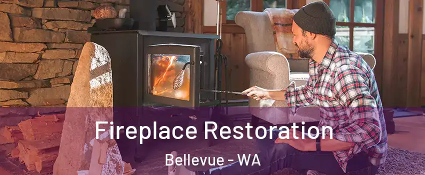  Fireplace Restoration Bellevue - WA