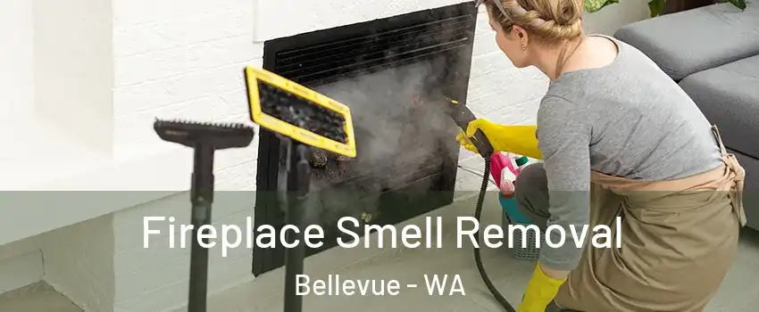  Fireplace Smell Removal Bellevue - WA