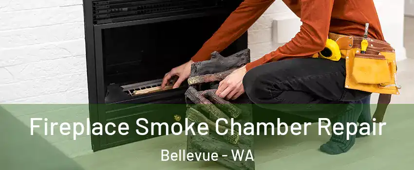  Fireplace Smoke Chamber Repair Bellevue - WA