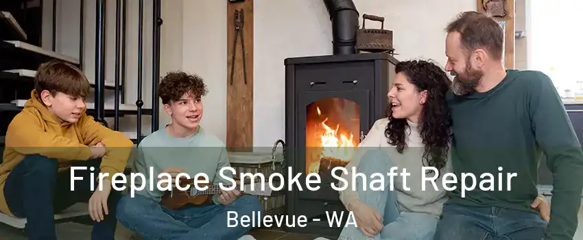  Fireplace Smoke Shaft Repair Bellevue - WA