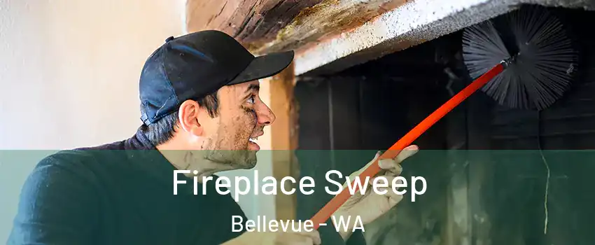  Fireplace Sweep Bellevue - WA