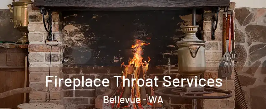  Fireplace Throat Services Bellevue - WA