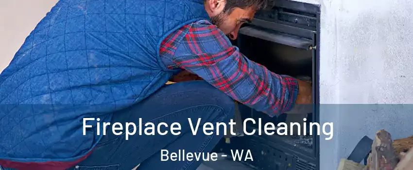  Fireplace Vent Cleaning Bellevue - WA